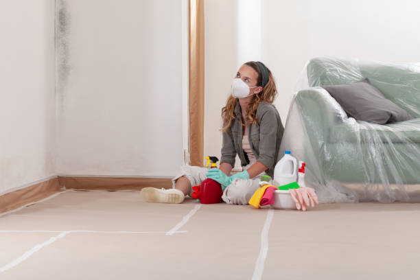 Reliable Black Mold Remediation contractor in Colonia, NJ by Mold Remediation HQ